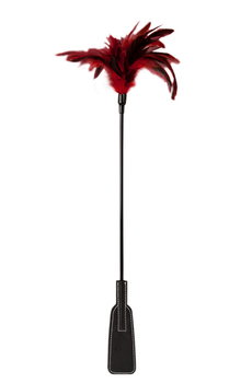 Piórko z packą czerwono czarne