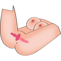 2w1 dwustronny wibrator 13,5 cm i korek analny 8,5 cm, 2 silniki, silikon, wodoodporny IPX7