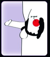 Wibrujący plug analny z pierścieniem na penisa