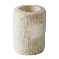 ZESTAW DO SKUTECZNEGO POWIĘKSZANIA PENISA JES EXTENDER GOLD STANDARD