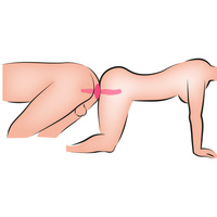 2w1 dwustronny wibrator 13,5 cm i korek analny 8,5 cm, 2 silniki, silikon, wodoodporny IPX7