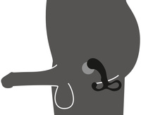 Zestaw 3 korków analnych  masażerów prostaty